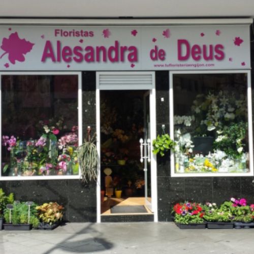 floristeria